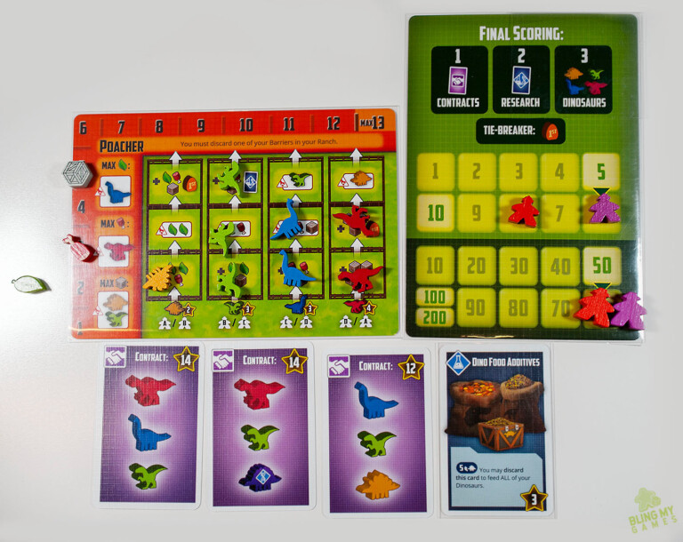 Final Game against the poacher