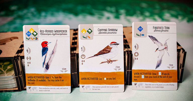 Bird Cards to choose from