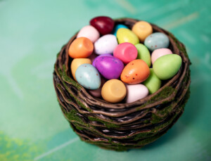 Wingspan Eggs - normal and speckled