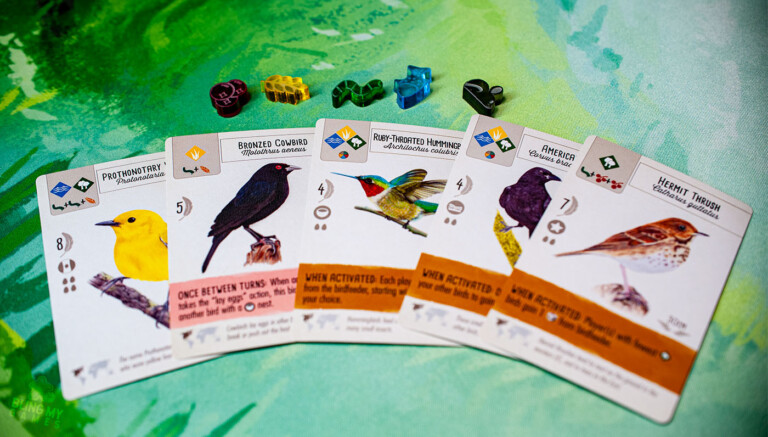 Starting Cards and Food