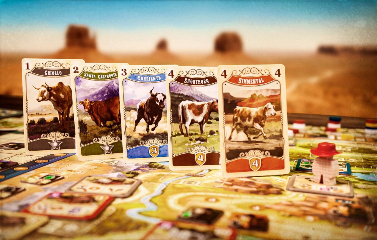 Herding my cows